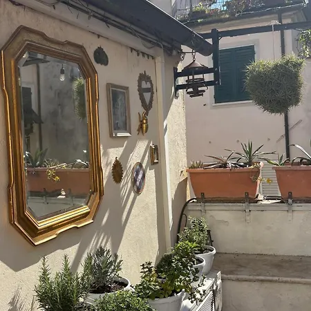 招待所 Foresteria Di Palazzo Picedi - Historic